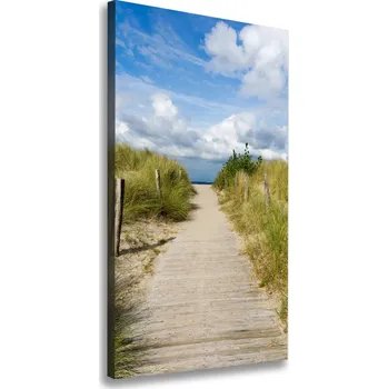 Obraz Vertikální Foto obraz na plátně Stezka na pláž