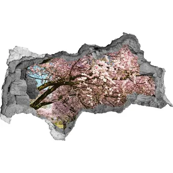 Fototapeta Samolepící díra na stěnu Stromy višně