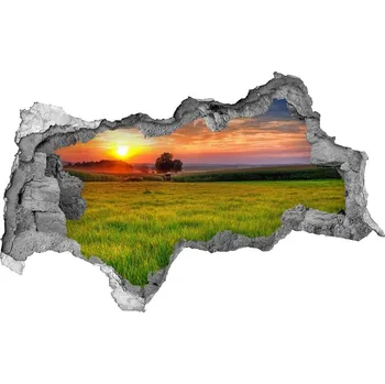 Fototapeta Samolepící díra na stěnu Západ slunce louka