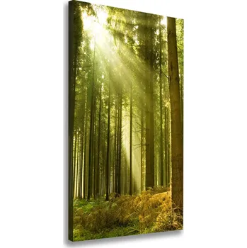 Obraz Vertikální Foto obraz na plátně Slunce v lese