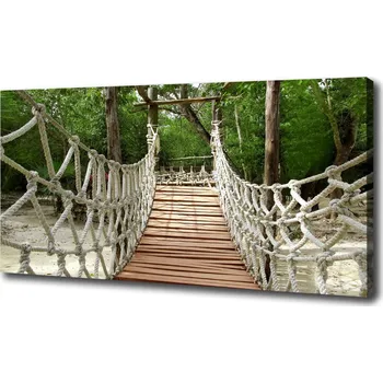 Obraz Foto obraz na plátně Lanový most