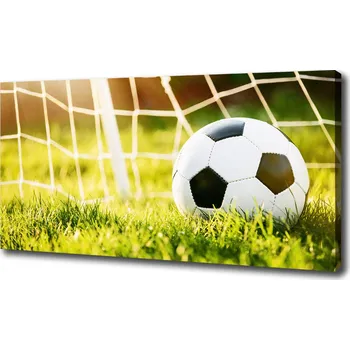 Obraz Foto obraz na plátně Míč v bramce