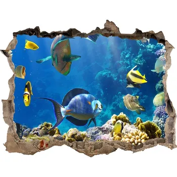 Fototapeta Fototapeta díra na zeď Korálový útes