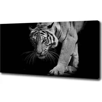 Obraz Foto obraz na plátně Tygr