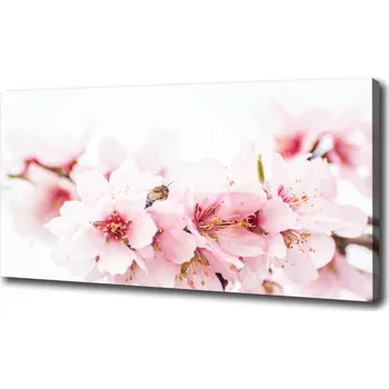 Obraz Moderní obraz canvas na rámu Květy višně