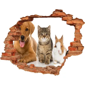 Fototapeta Díra 3D fototapeta na stěnu Pes a kočka