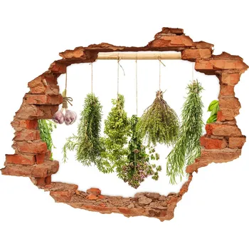 Fototapeta Nálepka díra na zeď beton Bylinky na provázku