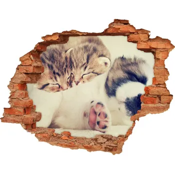 Fototapeta Díra 3D fototapeta na stěnu Dvě kočky a pes