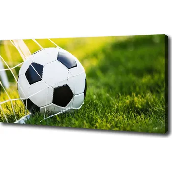 Obraz Foto obraz na plátně do obýváku Míč v bramce