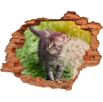 Fototapeta Díra 3D fototapeta nálepka Kočka s pampeliškou