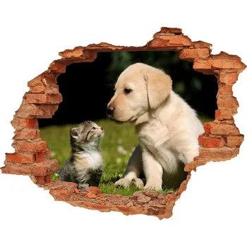 Fototapeta Díra 3D fototapeta nálepka Pes a kočka na louce