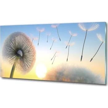 Obraz Fotoobraz na skle Pampeliška