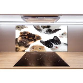 Panel do kuchyně Domácí zvířata