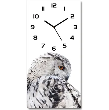 Hodiny Moderní hodiny nástěnné Bílá sova