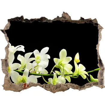 Fototapeta Samolepící nálepka fototapeta Orchidej