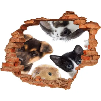 Fototapeta Díra 3D fototapeta na stěnu Domácí zvířata
