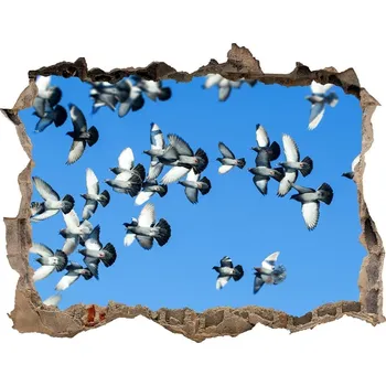Fototapeta Samolepící díra na stěnu Stádo holubů