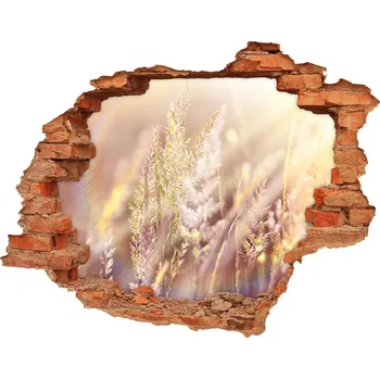 Fototapeta Samolepící díra nálepka Vysoká tráva