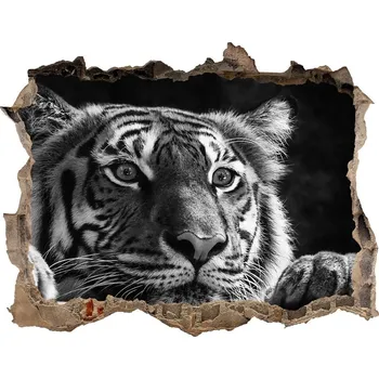 Fototapeta Díra 3D fototapeta nálepka Tygr