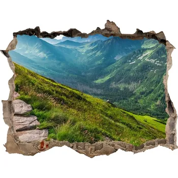 Fototapeta Díra 3D ve zdi nálepka Stezka v Tatrách