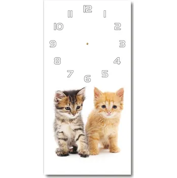 Hodiny Nástěnné hodiny Hnědá a červená kočka