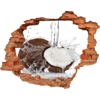 Fototapeta Nálepka 3D díra Kokos