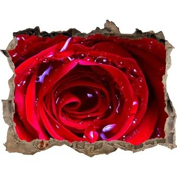 Fototapeta Samolepící nálepka na zeď Květ růží