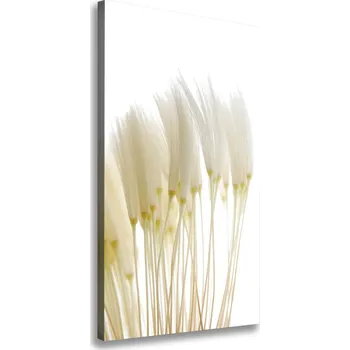 Obraz Vertikální Foto obraz na plátně Semena pampelišky