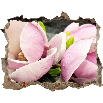 Fototapeta Samolepící díra na stěnu Magnolie kámen zen