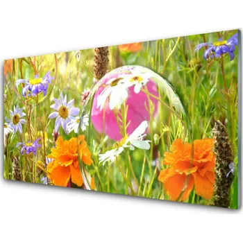 Obraz Obraz na skle Květiny Rostlina Příroda 125x50 cm 2 Přívěsky