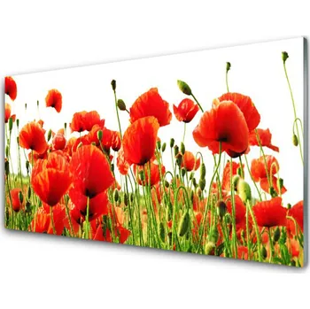 Obraz Obraz na skle Máky Rostlina Příroda 100x50 cm 2 Přívěsky