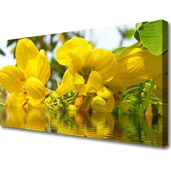 Obraz Obraz na plátně Květiny Rostlina Příroda 100x50 cm