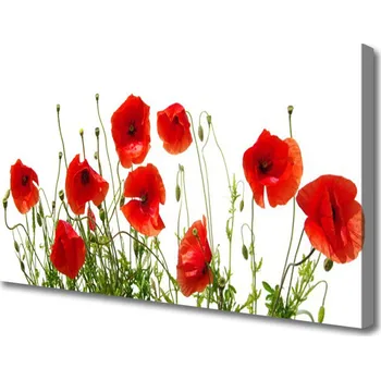 Obraz Obraz na plátně Máky Květiny Příroda 120x60 cm