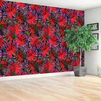 Fototapeta Fototapeta Monstera děravá 104x70