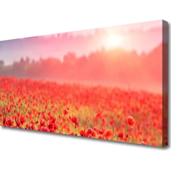 Obraz Obraz na plátně Louka Květiny Příroda 125x50 cm