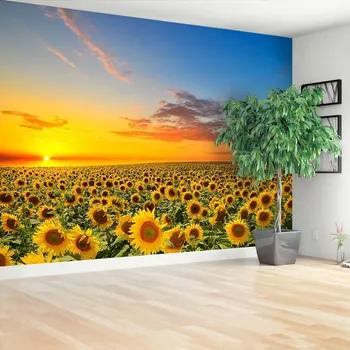 Fototapeta Fototapeta Pole slunečnic 104x70