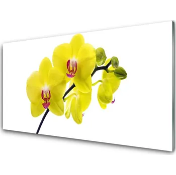 Obraz Obraz na skle Květiny Rostlina Příroda 125x50 cm 2 Přívěsky