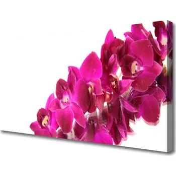 Obraz Obraz na plátně Květiny Rostlina Příroda 120x60 cm