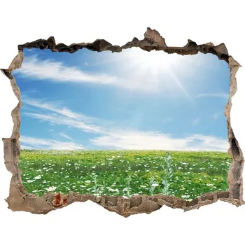 Fototapeta Nálepka fototapeta 3D výhled beton Louka