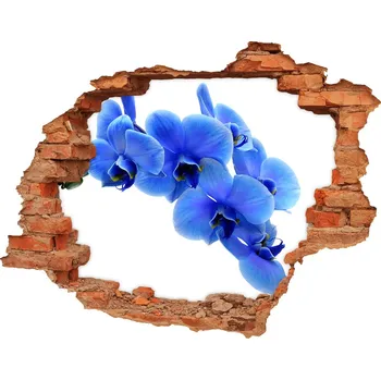 Fototapeta Samolepící díra nálepka Modrá orchidej