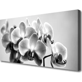 Obraz Obraz na plátně Květiny Rostlina Příroda 140x70 cm