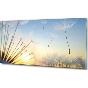 Obraz Fotoobraz na skle Semeno pampelišky