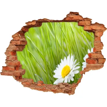 Fototapeta Samolepící nálepka fototapeta Sedmikrásky