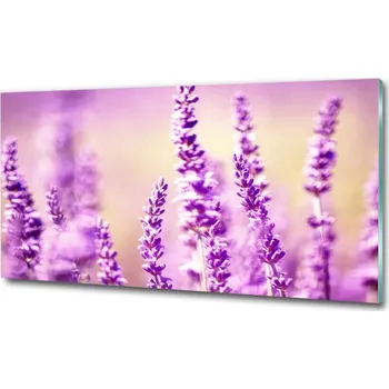 Obraz Fotoobraz na skle Levandule