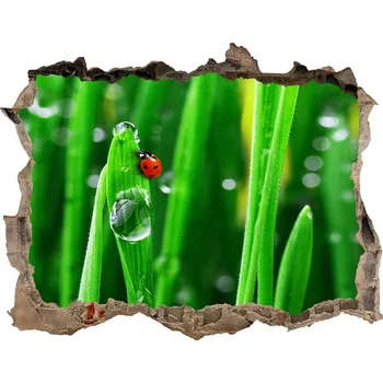 Fototapeta Samolepící díra Berušky na trávě