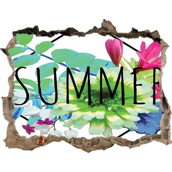 Fototapeta Fototapeta díra na zeď Láto