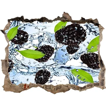 Fototapeta Nálepka 3D díra Ostružiny a voda