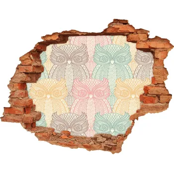 Fototapeta Díra 3D fototapeta nálepka Sovy