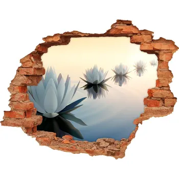 Fototapeta Samolepící díra na stěnu Květy lotosu