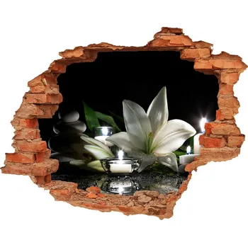 Fototapeta Samolepící díra nálepka Bílá lilie